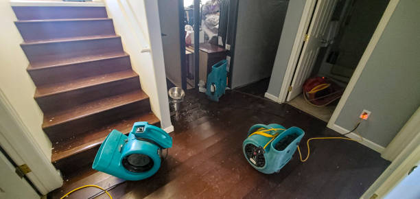 Best Sewage cleanup and water damage restoration  in Smithville, TX