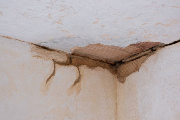 Best Mold removal after water damage  in Smithville, TX